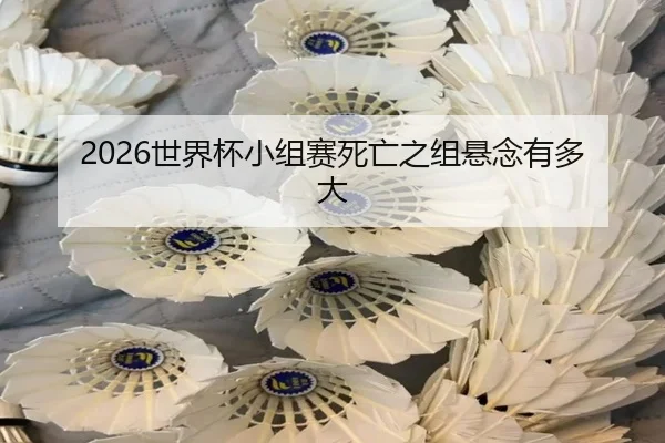 2026世界杯小组赛死亡之组悬念有多大